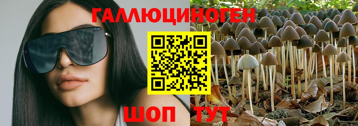 Галлюциногенные грибы ЛСД Кириши