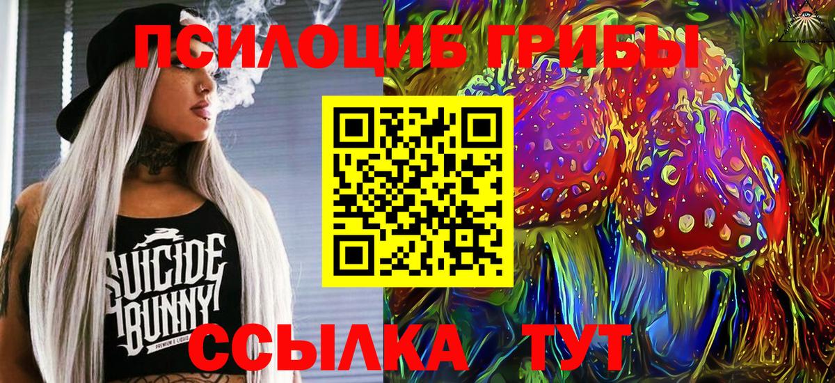 Псилоцибиновые грибы прущие грибы  где найти наркотики  Кириши  Вход с VPN 